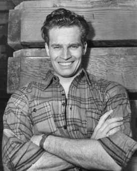 heston_1.jpg