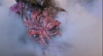 la_mosca_1.jpg la_mosca_1.jpg